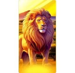 Lion
Safari